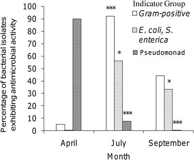 Diversity, antimicrobial production, and seasonal variation of honey bee microbiota isolated from the honey stomachs of the domestic honey bee, Apis mellifera